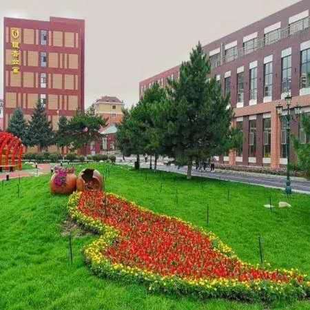 创新管理模式提升社区服务水平,创新管理提高效能