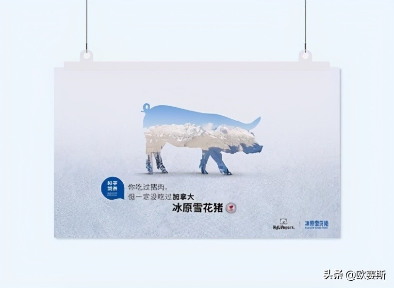 欧赛斯的产品怎么样,欧赛斯超级案例详解