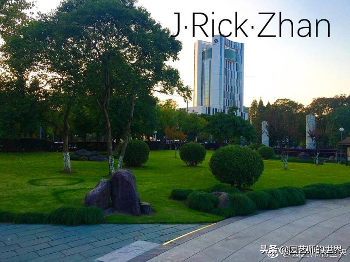 高尔夫果岭草坪家庭院子种植,麦冬草坪种植方法和注意事项