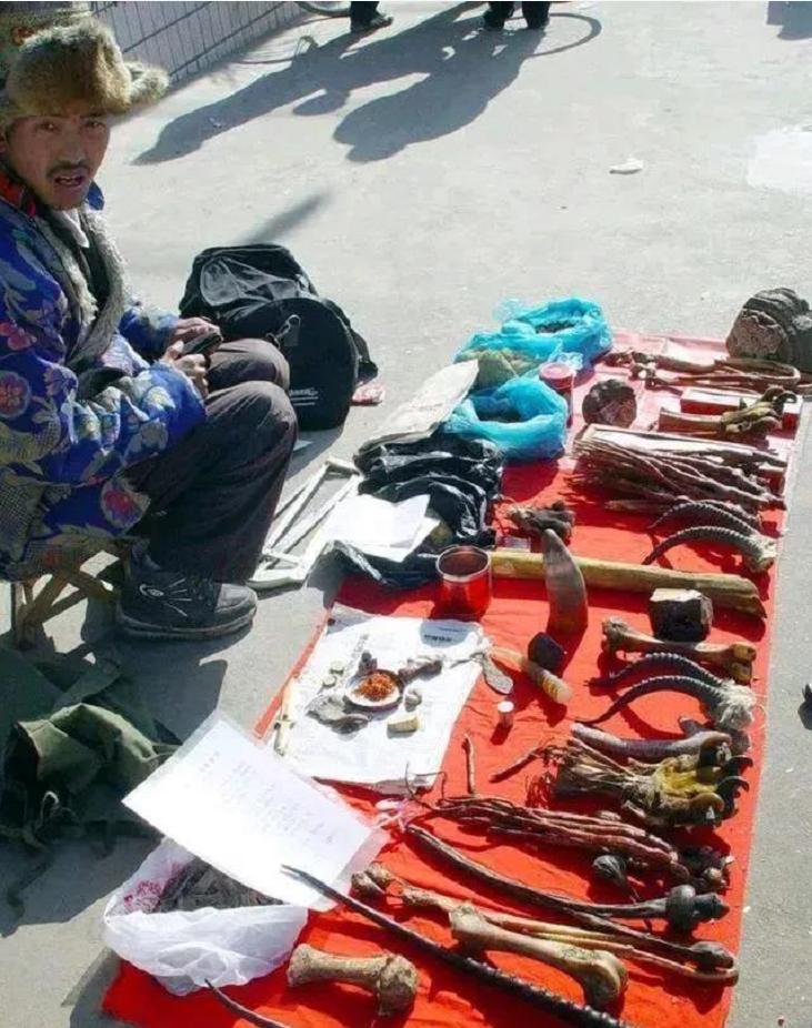 虎骨作假工艺,假虎骨揭秘