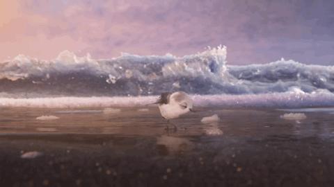 盘点8部奥斯卡动画短片,救命60秒电影