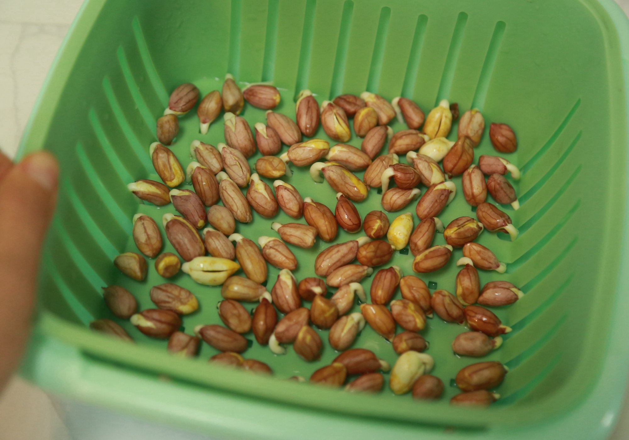 养生堂生发妙招,增长生发精华