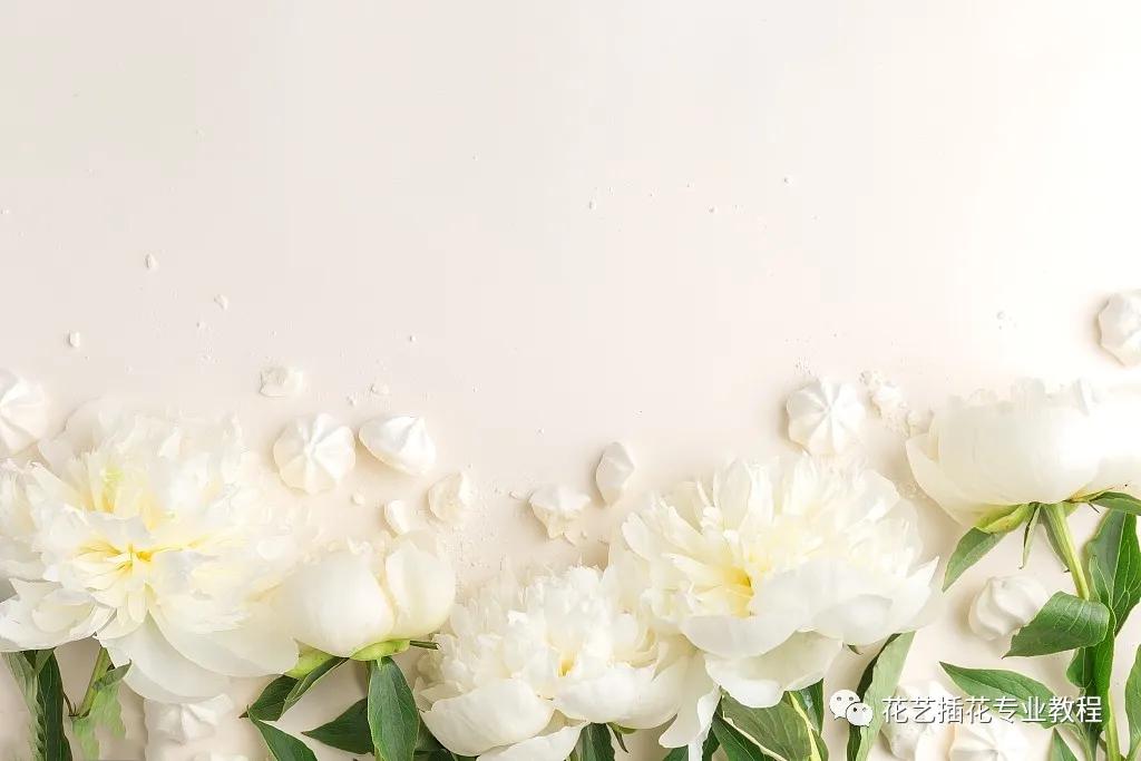 花艺培训班学习花艺设计课程入门,花艺培训师零基础课程入门
