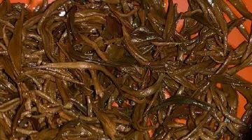 信阳红茶十大排名,中国十大红茶名茶最新排名