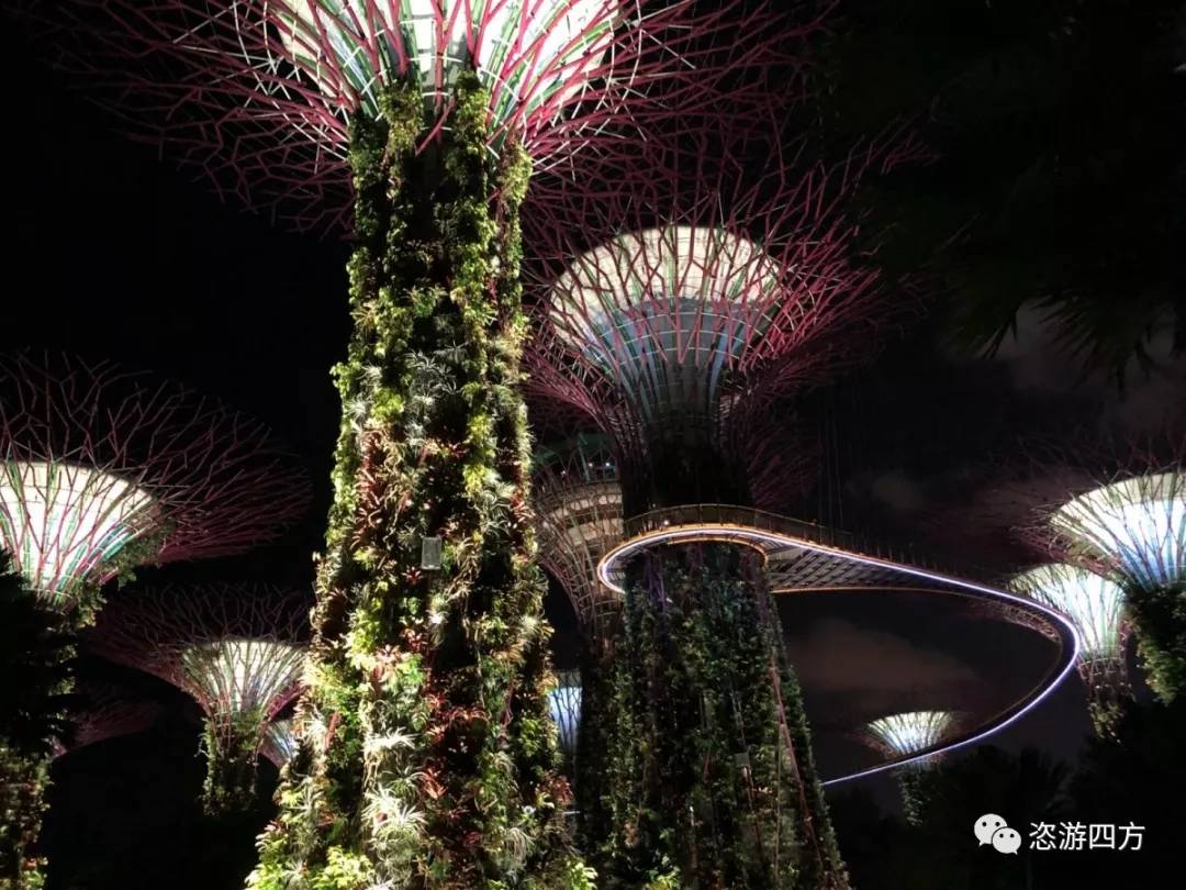 春节去新加坡亲子游记,新加坡亲子游3天2晚自由行含机票