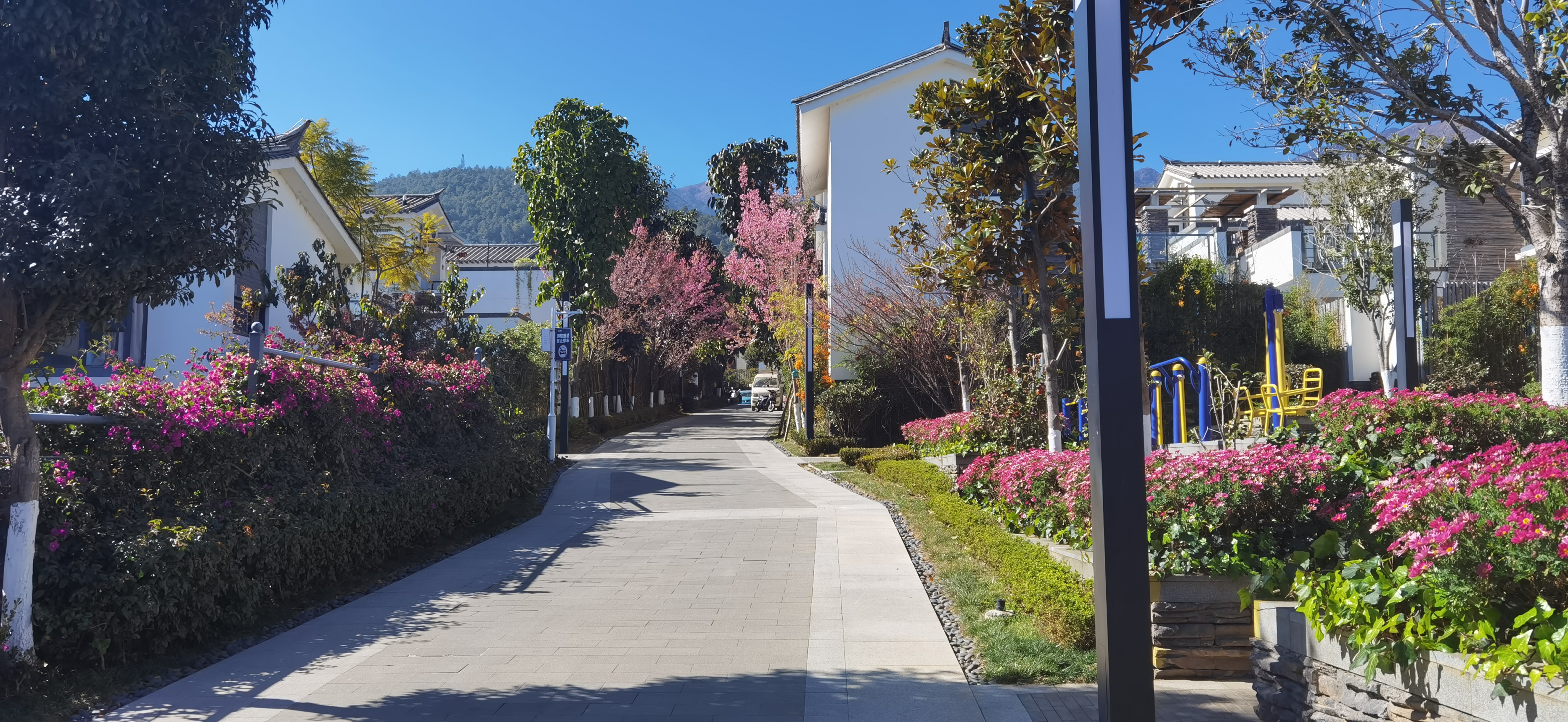 四线城市大理,大理最贵的房价是哪里