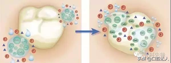 小小牙齿,小小牙齿矫正