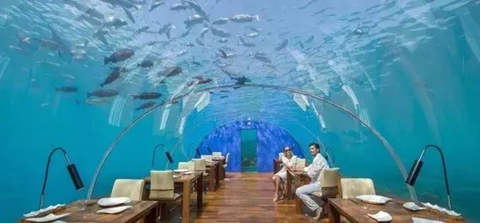 海底餐厅推荐大全,高级海底餐厅