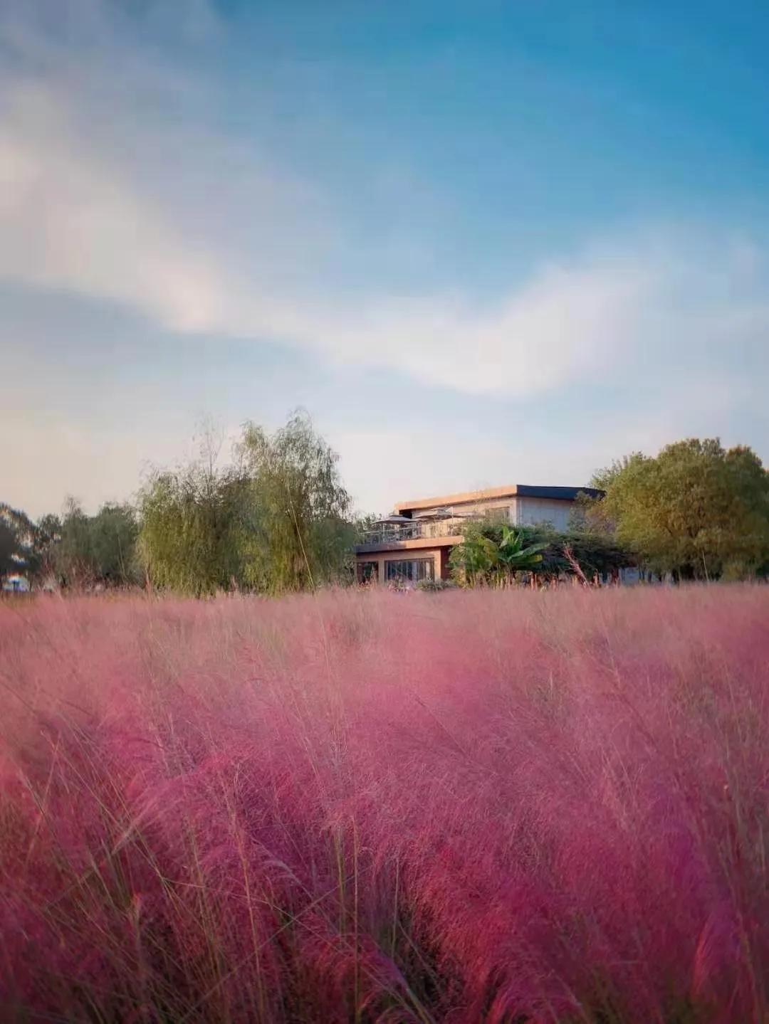 南昌真的要火了吗,南昌即将发展的地方