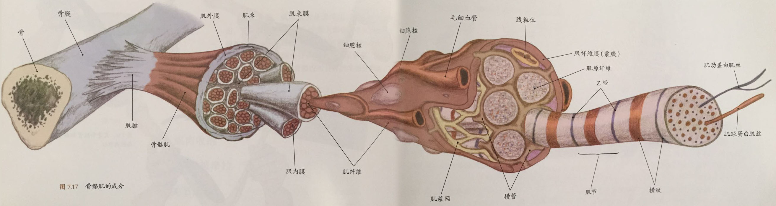 如何判断一个教练是否专业,怎么判断一个靠谱的教练
