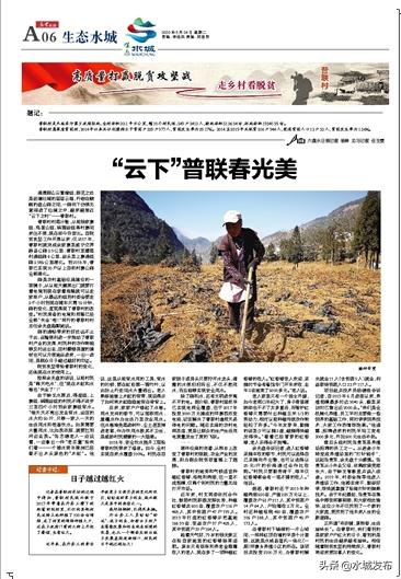 “云下”普联*光春**美