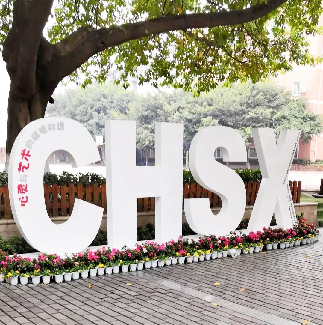 成都小学五朵金花是哪些,成都十大金花小学