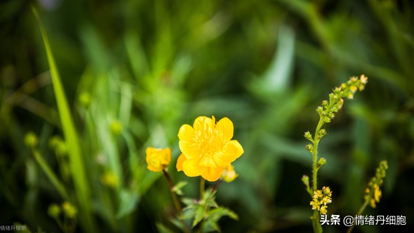 门头沟避暑景点推荐,柳树沟自然风景区旅游攻略