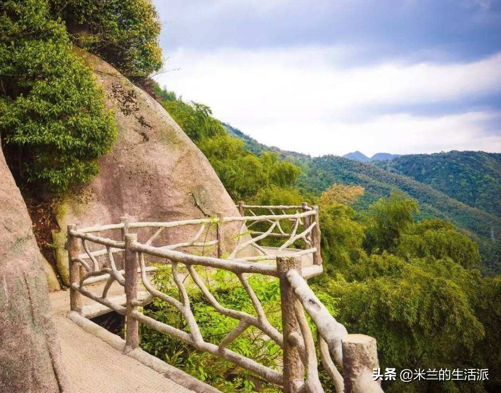 森林养生基地一览表,森林公园养生胜地