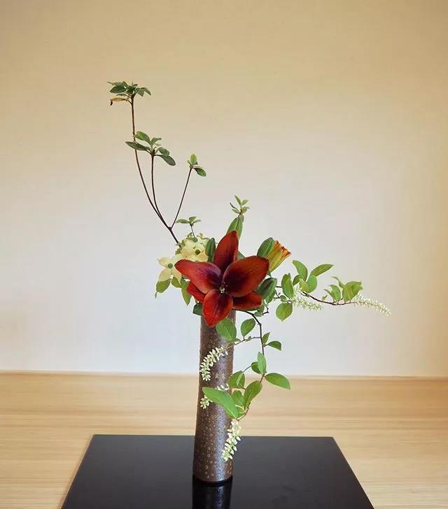 一花一世界一叶一菩提本来无一物,一花一世界一叶一菩提一场梦