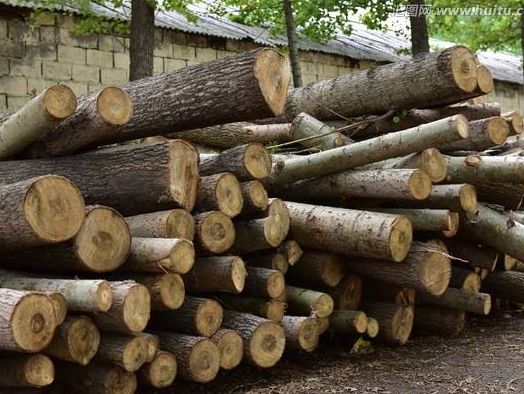 家具工厂原木怎样测量,木工建筑木材怎么识别