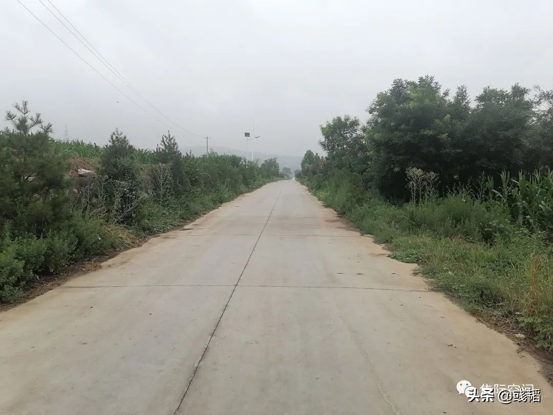 周末回老家的惬意时光,周末回农村的乐趣