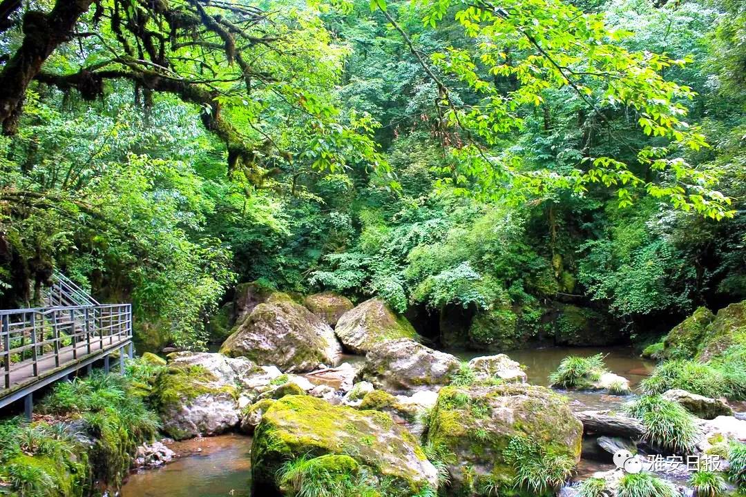 来雅安旅游,雅安二郎山休闲特色民宿