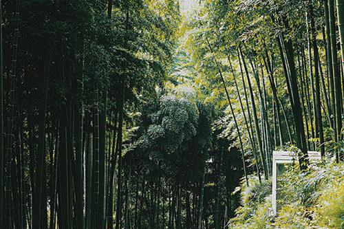奥地利设计师操刀~热门综艺取景地，这里藏着你的冬日梦想