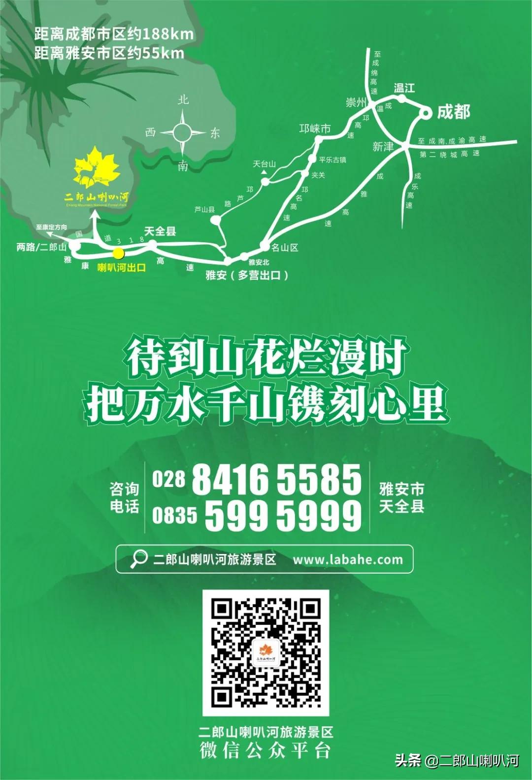 鎶婇鏅粰甯﹁蛋,鎶婂ス甯﹁蛋