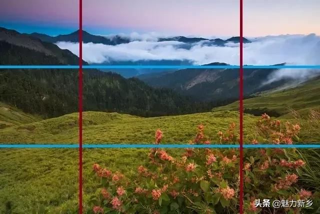 拍摄构图中常用的5种景别,摄影技巧三分法