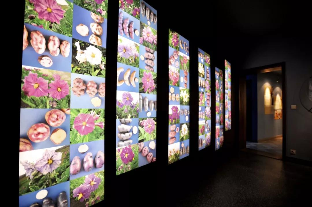 有趣博物馆,趣味馆推荐