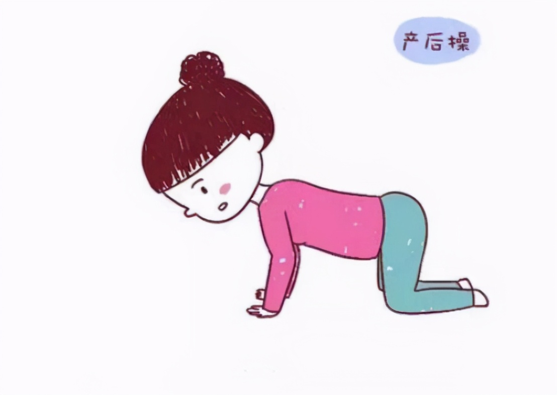 骨盆修复科普知识,骨盆底肌有什么作用