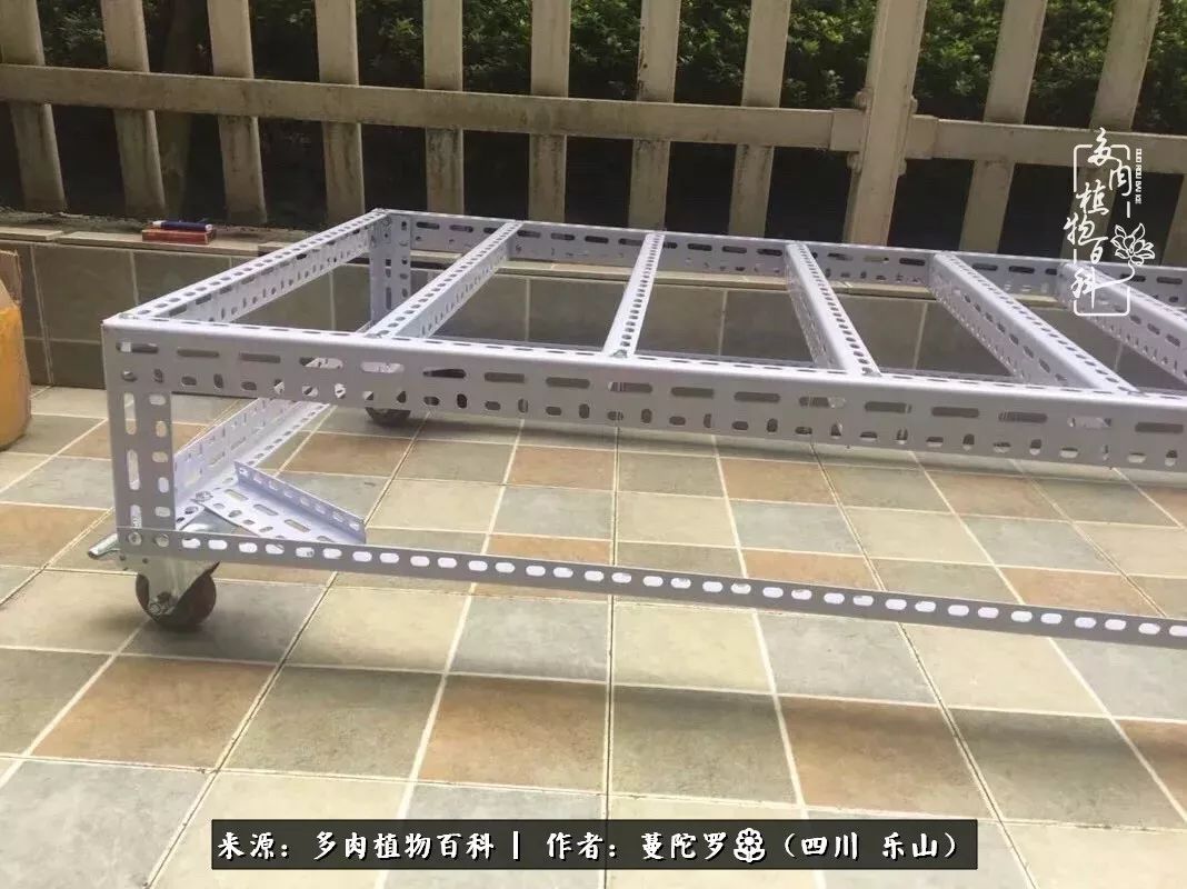 转角遇见多肉,遇见多肉治愈自己