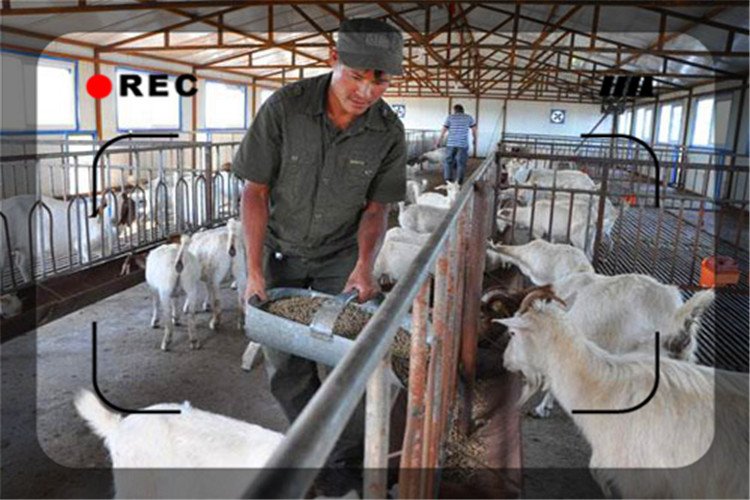 50岁创业失败可以做什么,40岁创业失败如何重新开始呢