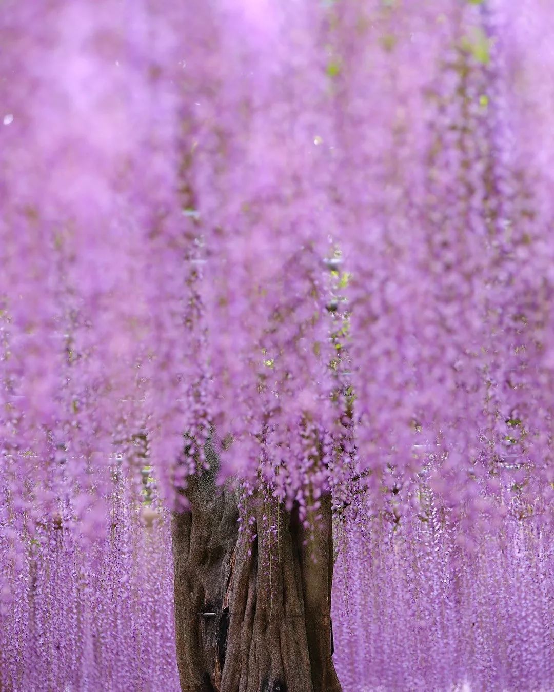 日本名古屋有什么好吃的,名古屋美食大起底