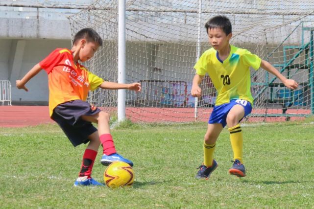 中国的足球青训vs校园足球,足球青训和校园足球