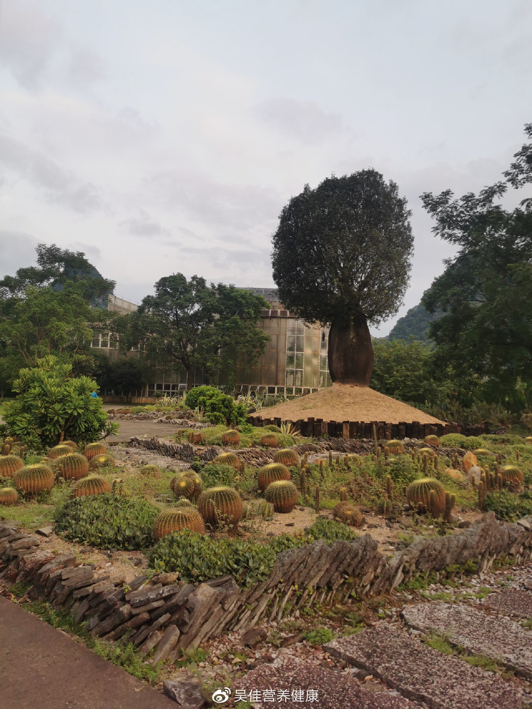 clubmed桂林攻略,clubmed一价全包加多少钱