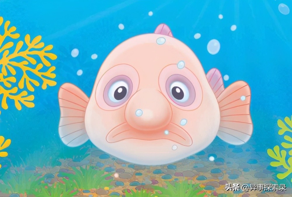 史前深海十大恐怖生物,深海底下的恐怖生物