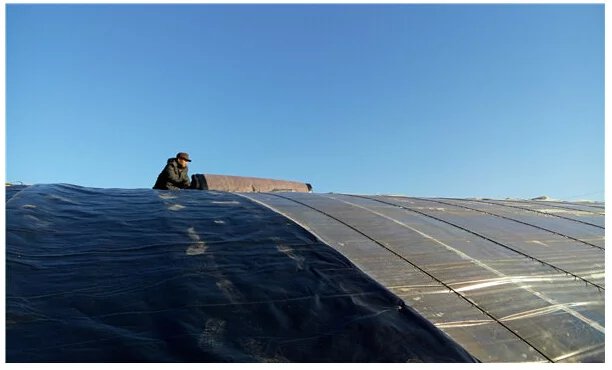 鑺辨埧濮戝澶氳倝閰嶅湡,鑺辨埧濮戝鐜夐湶澶氳倝