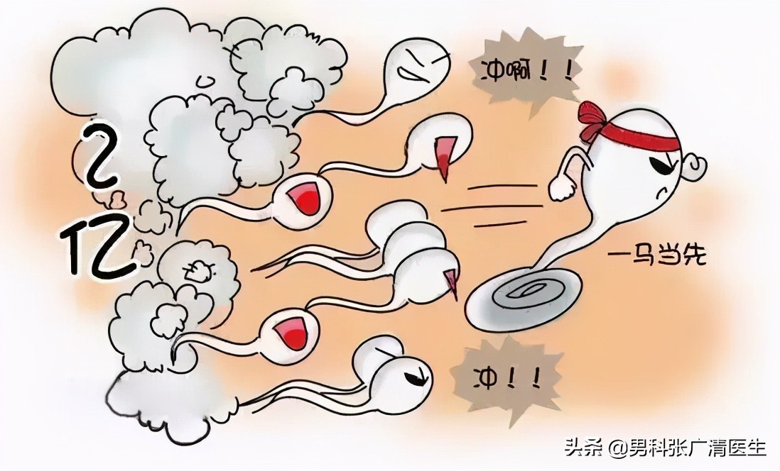 每个人都是英雄完整版,每一个人都是英雄议论文