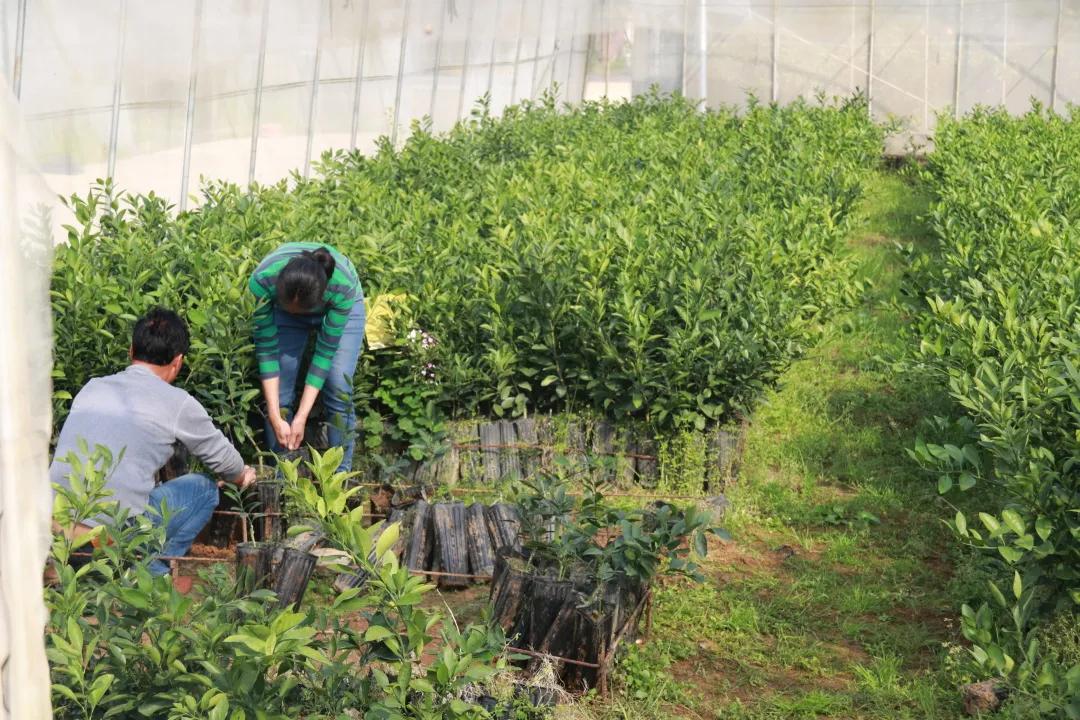 奋战一季度实现开门红,铆足干劲开新局全力奋战开门红