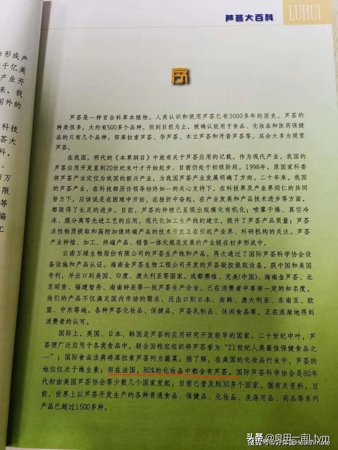 “活着的芦荟护肤品”，你来云南元江看一次芦荟海就够了