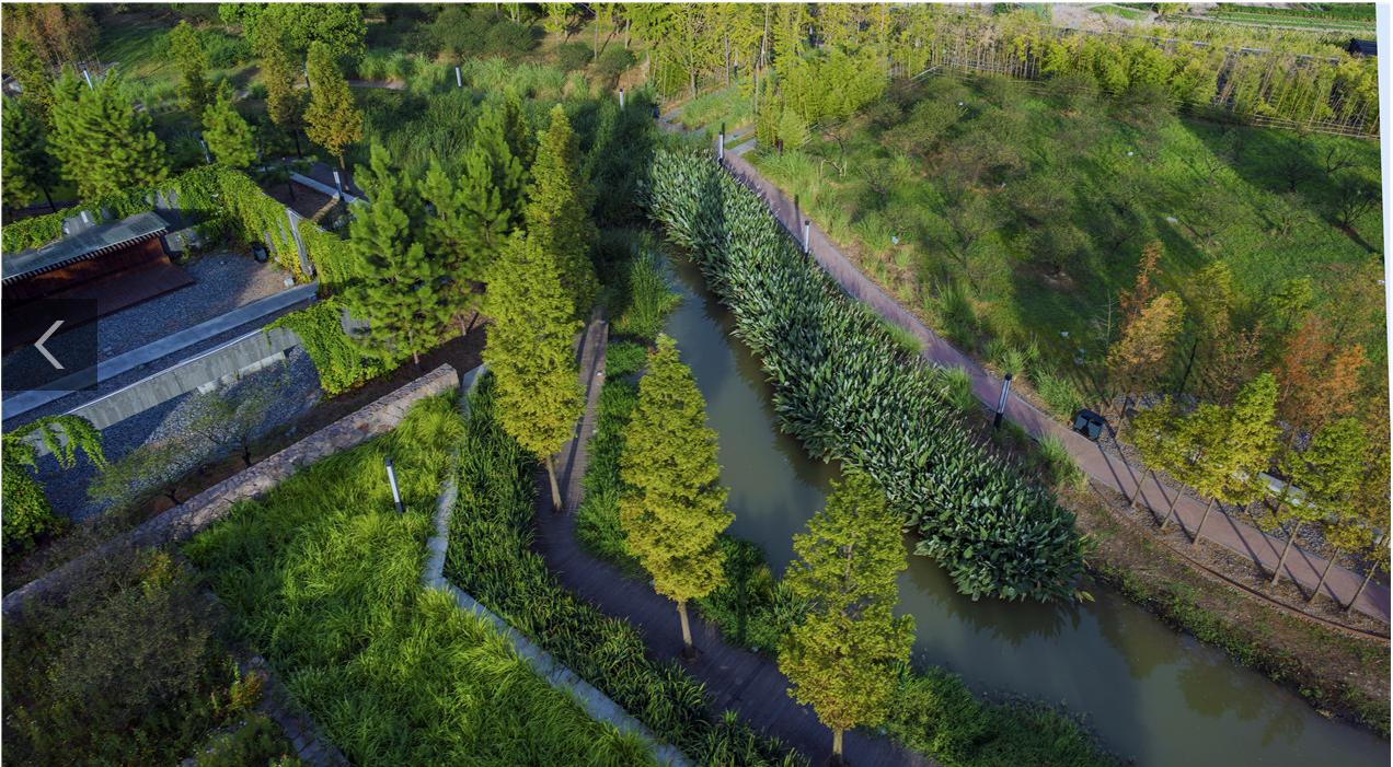 中国十大园林设计公司,中国十大园林景观公司