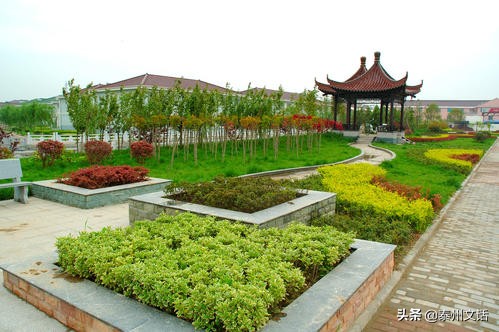 泰州特色景点,泰州农业大镇