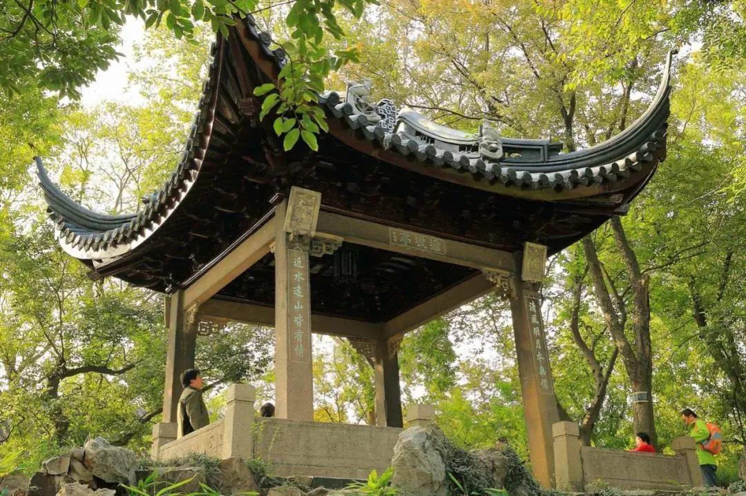 鑻忓窞鍥灄vs鏉窞瑗挎箹,鏉窞瑗挎箹vs鑻忓窞鍥灄