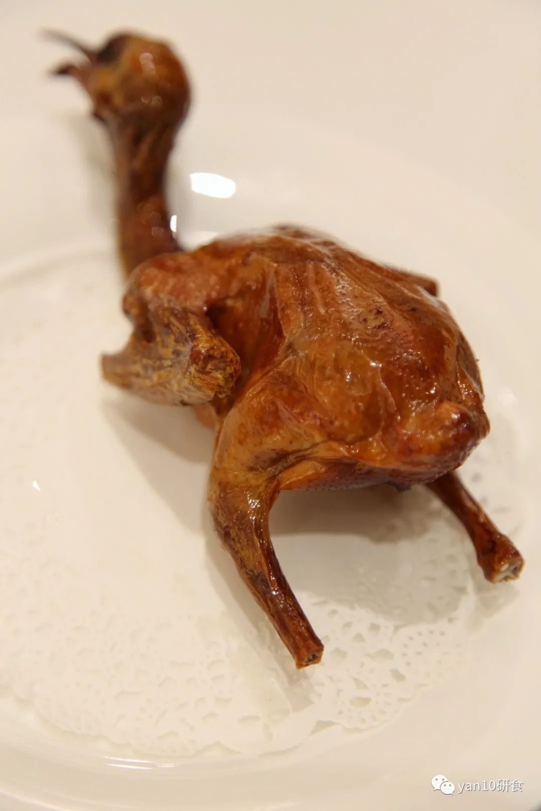 中山多娇,石岐美妙,传统早茶,粥粉面饭,糖水小食,要不要?