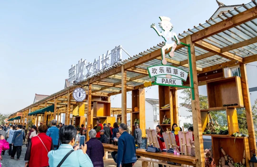 溧阳庆丰村怎么突然火了起来,答案或许就在这里