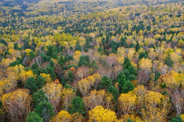 富士小巧轻便,富士轻便的相机
