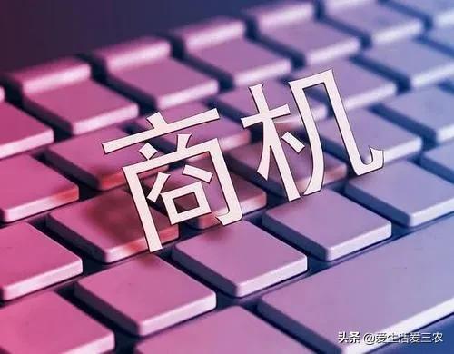 农村小型加工厂做什么生意好,在农村开一个小型面粉加工厂利润