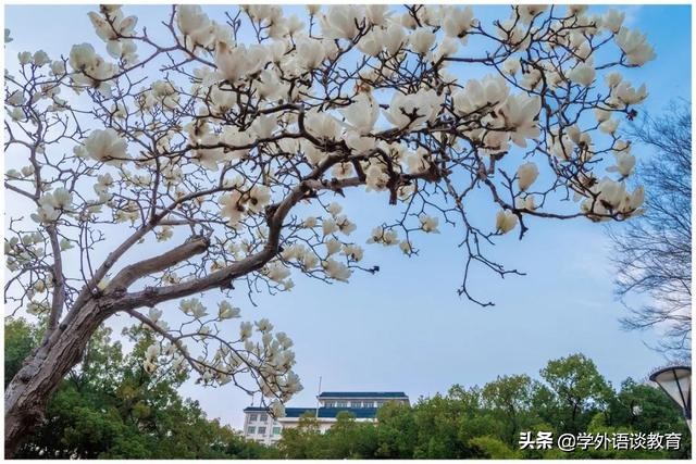 英汉互译名言警句,英语谚语及谚语理解