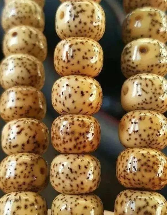 星月菩提奶油黄好还是顺白好,星月菩提奶油黄