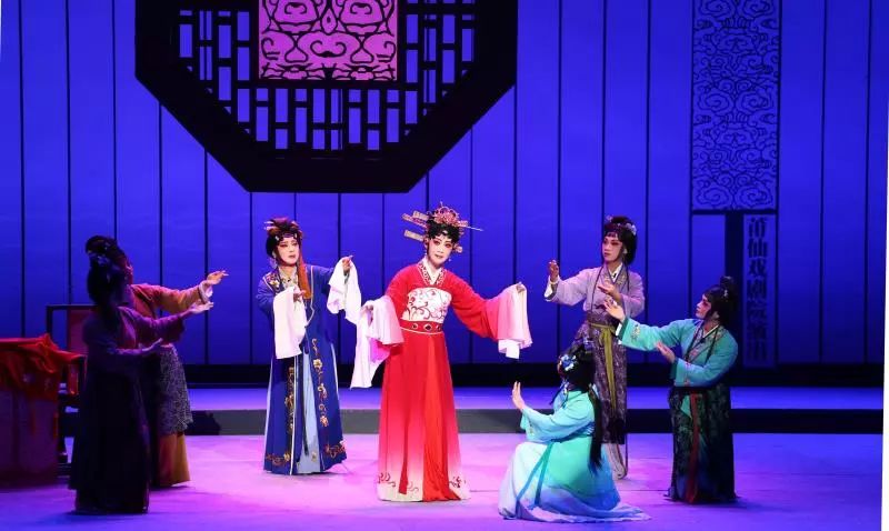 爱你没商量直播吗,爱你没商量海南