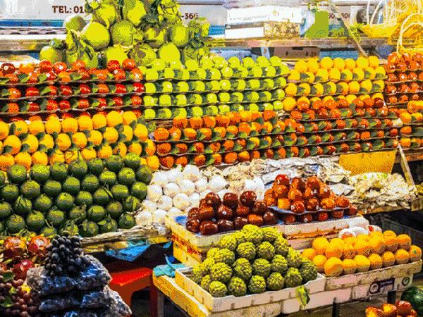 洛阳24小时最新新闻发布会,洛阳发布会最新消息