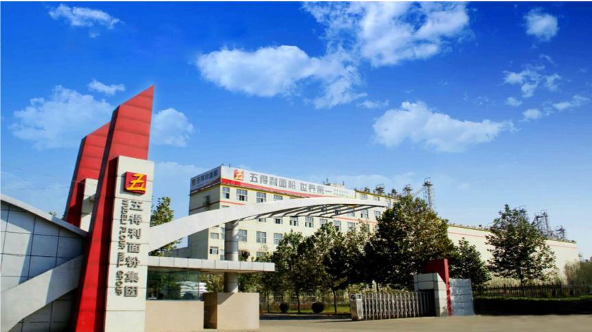 五得利面粉产能,青岛五得利面粉产能