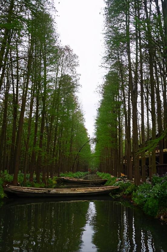 华东江苏篇,浅谈全国各省份